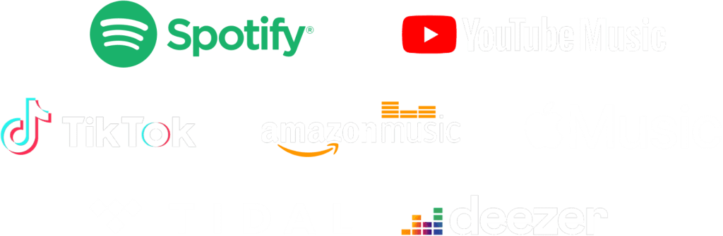 Streaming Platforms